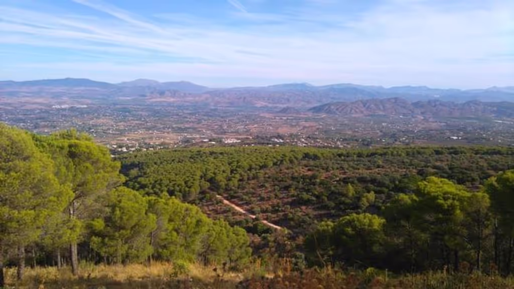 Malaga Private Tour - Off The Beaten path