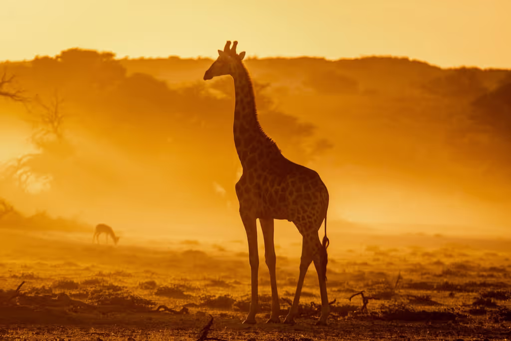 Zanzibar Private Tour - 