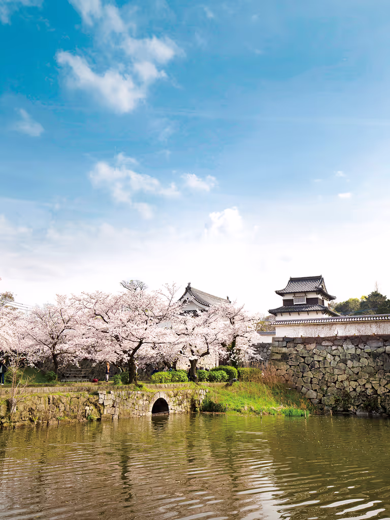 Fukuoka Private Tour - Fukuoka Castle Ruins