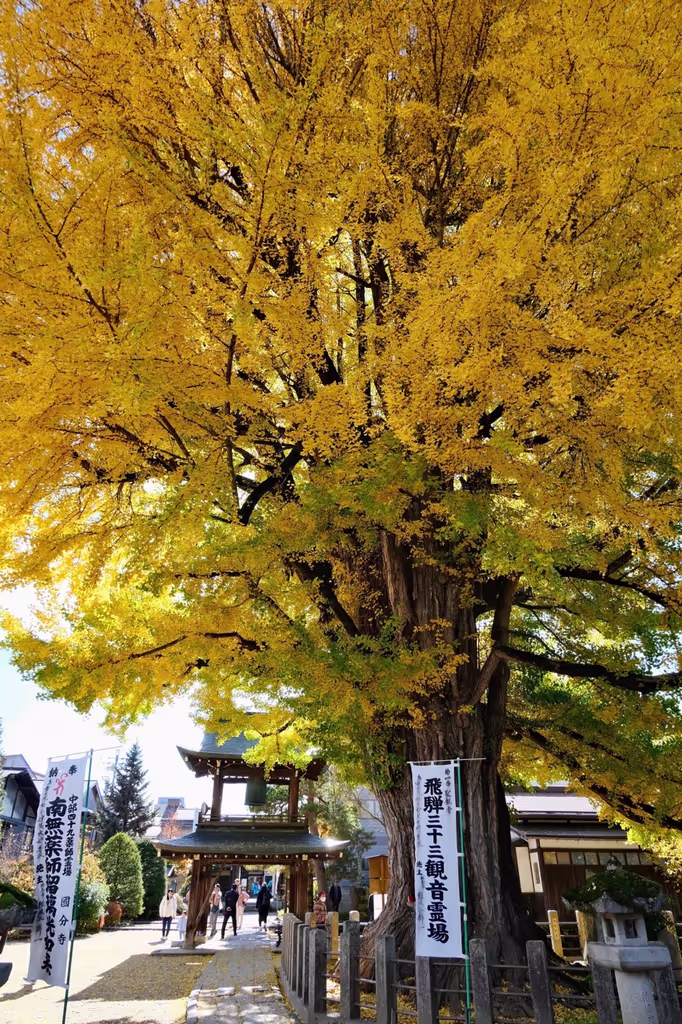 Takayama Private Tour - 