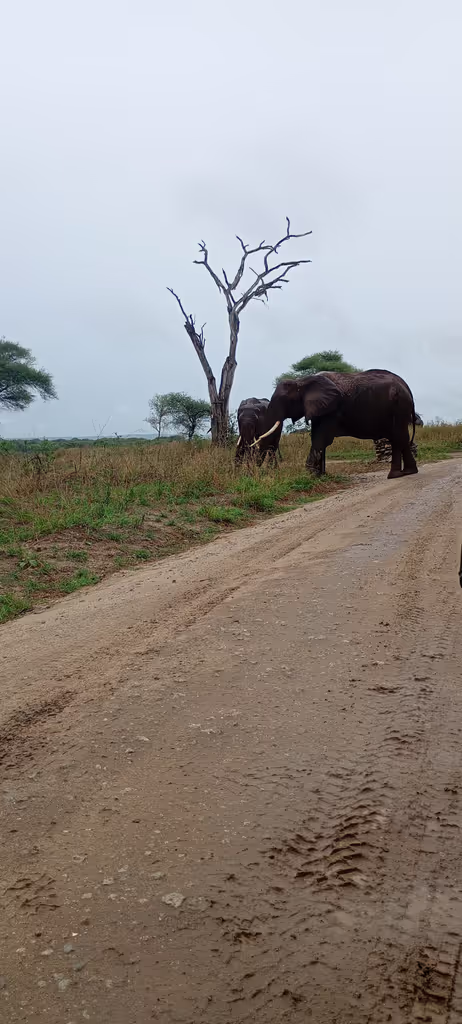 Moshi Private Tour - 