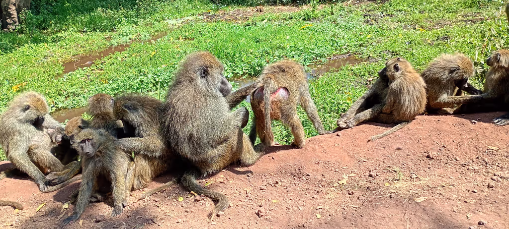 Moshi Private Tour - 