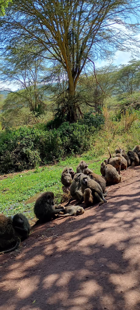 Moshi Private Tour - 