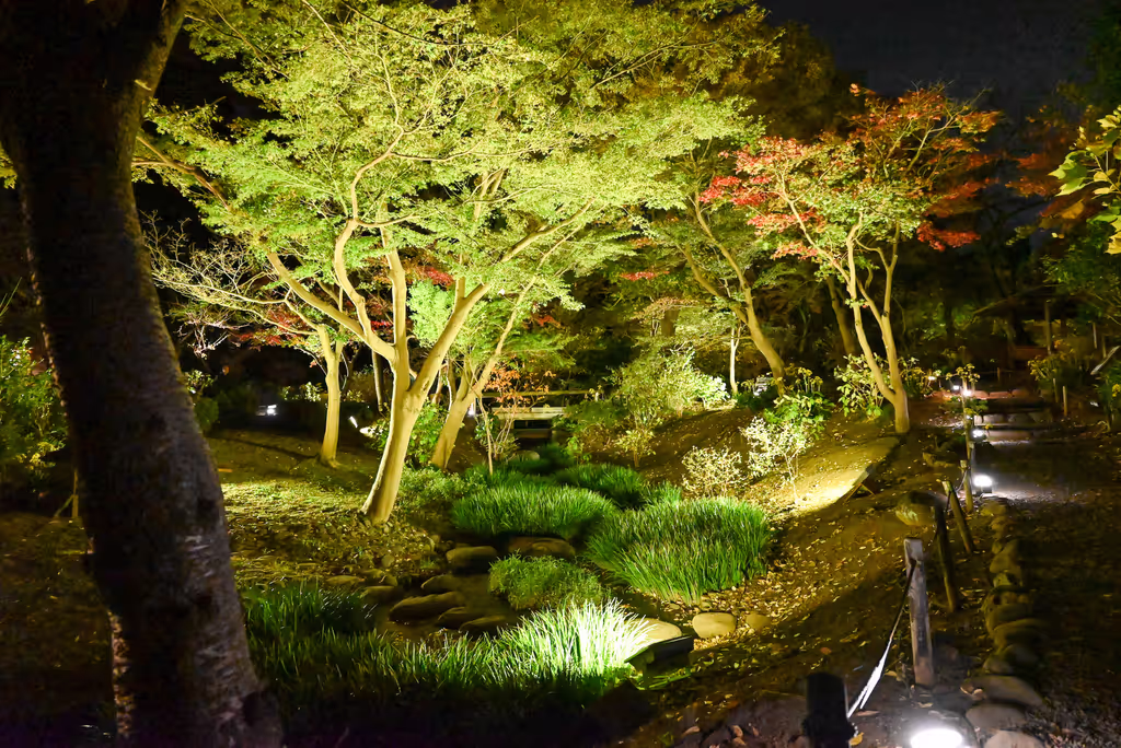 Yokohama Private Tour - San Kei En Japanese Garden