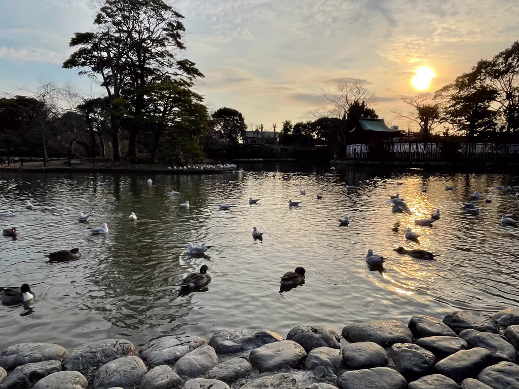 Kamakura Private Tour - 