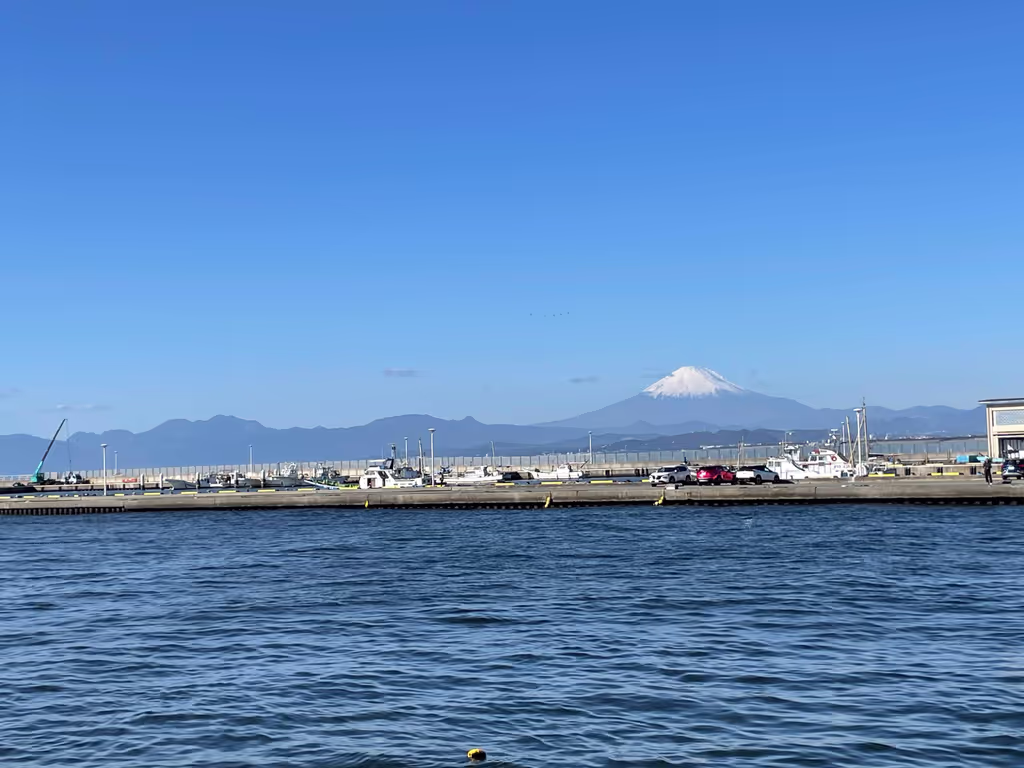 Kamakura Private Tour - 
