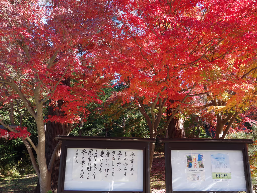 Kamakura Private Tour - 