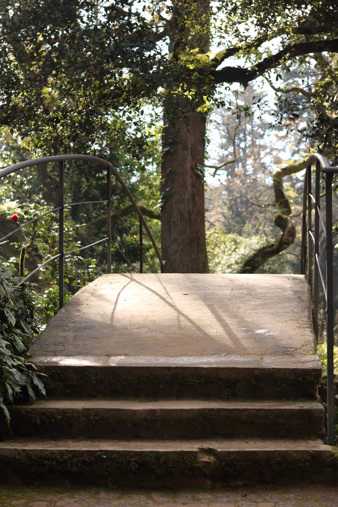 Lisbon Private Tour - Pena Park