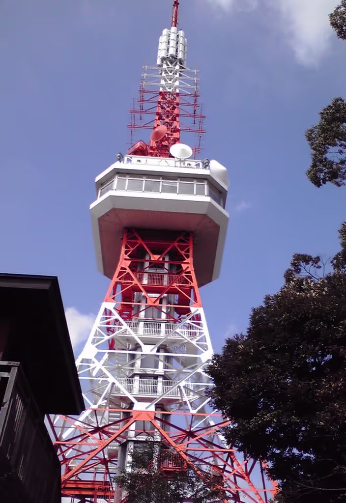 Tochigi Private Tour - 