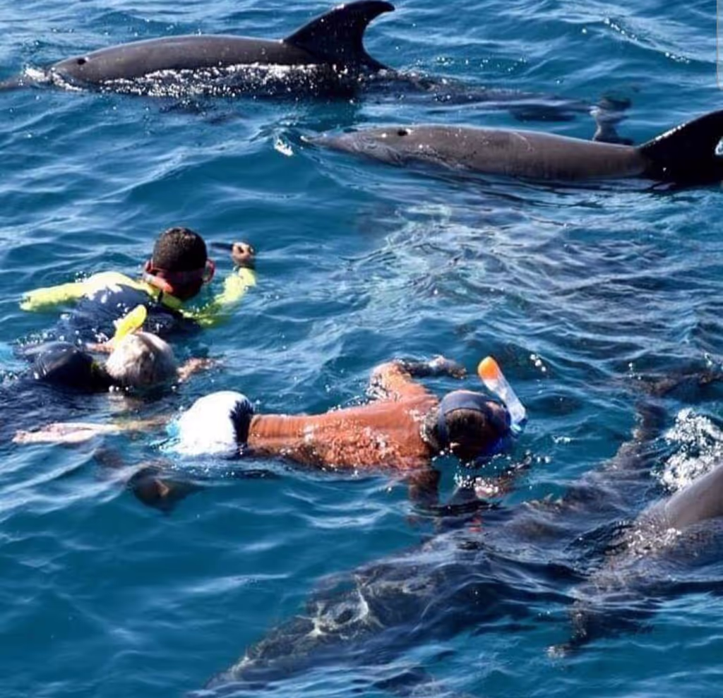 Zanzibar Private Tour - 