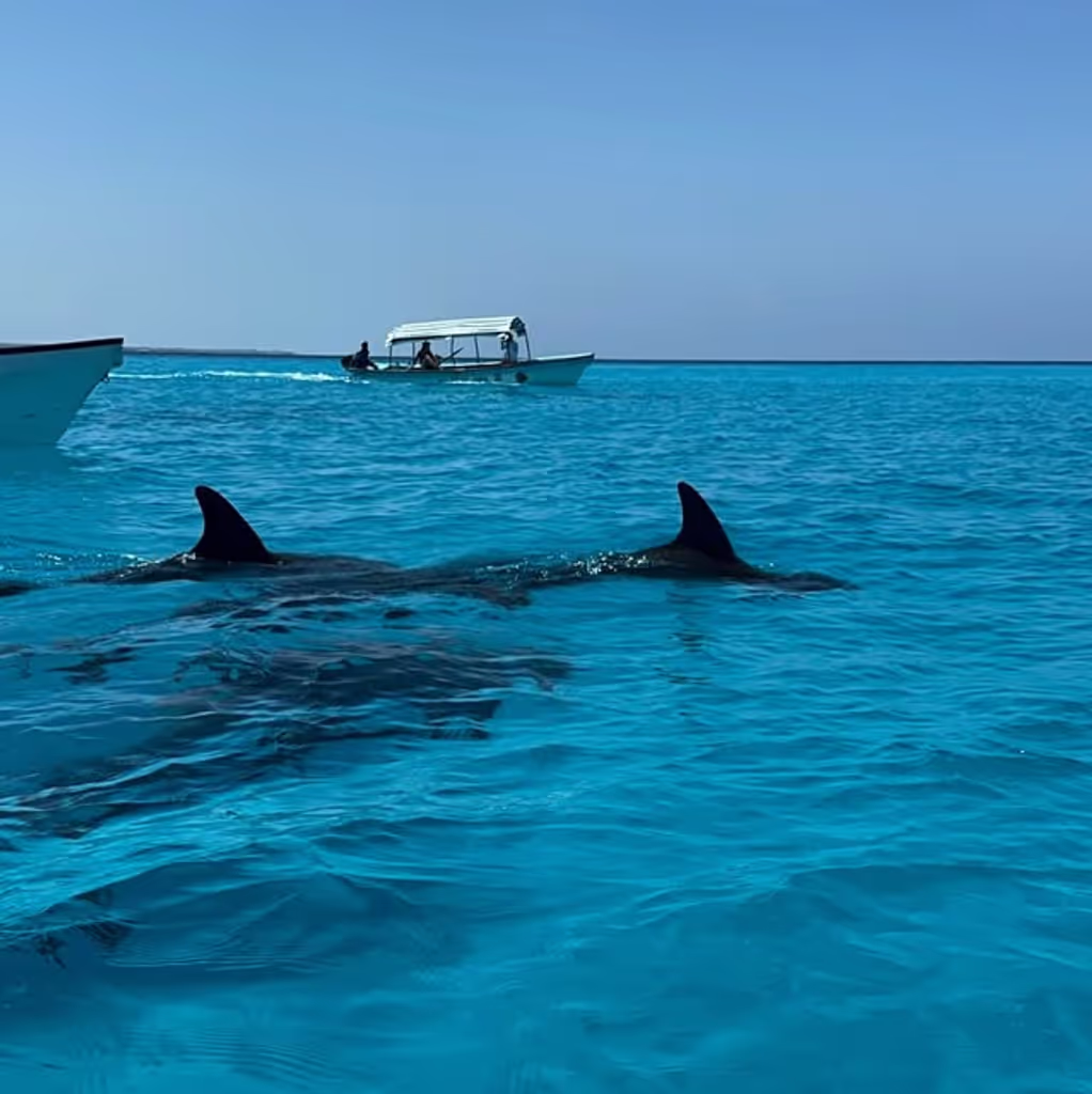 Zanzibar Private Tour - 