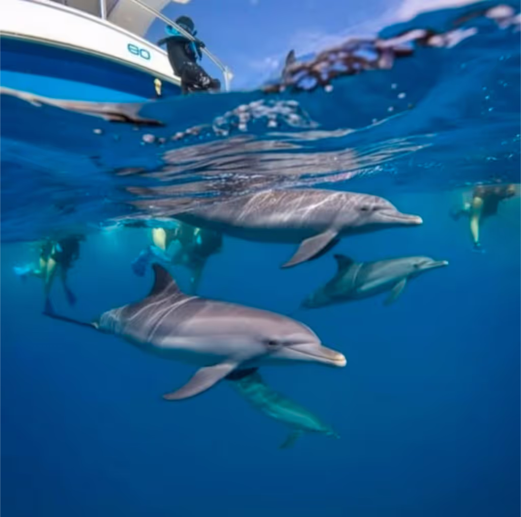 Zanzibar Private Tour - 