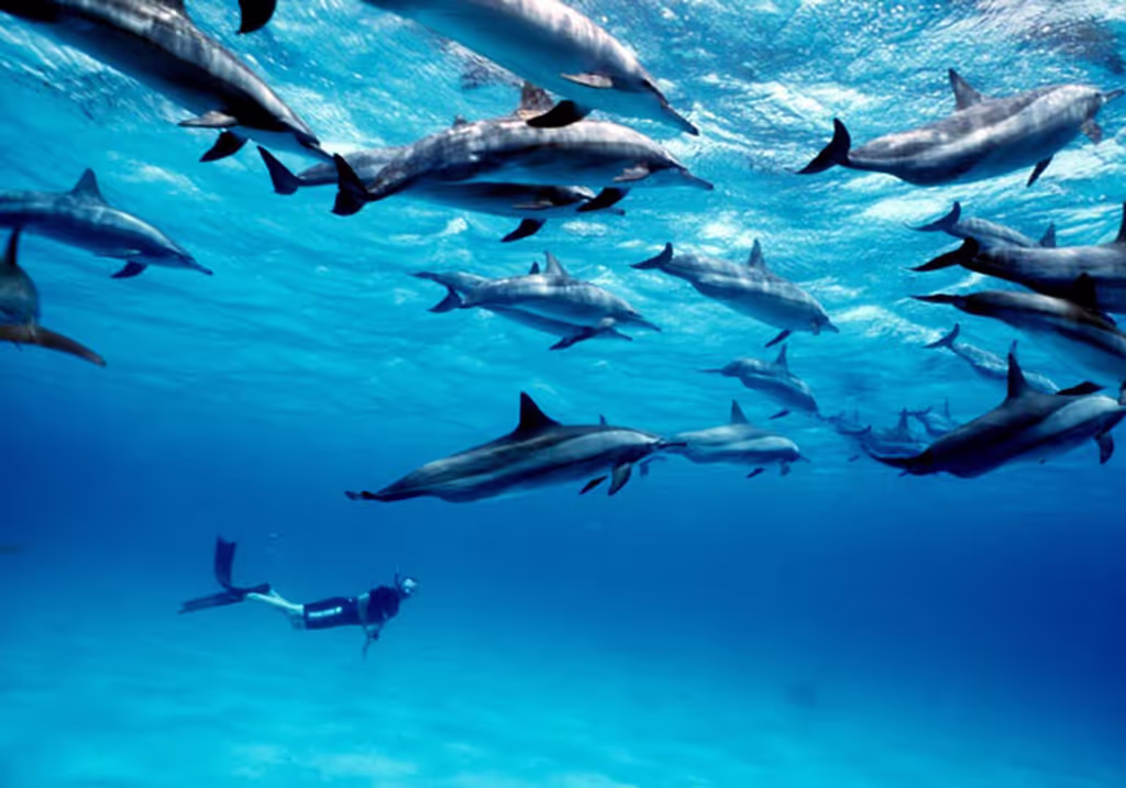 Zanzibar Private Tour - 