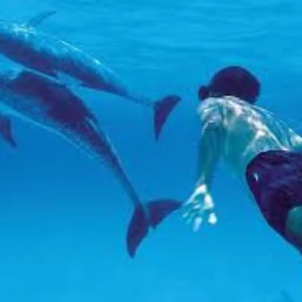 Zanzibar Private Tour - 