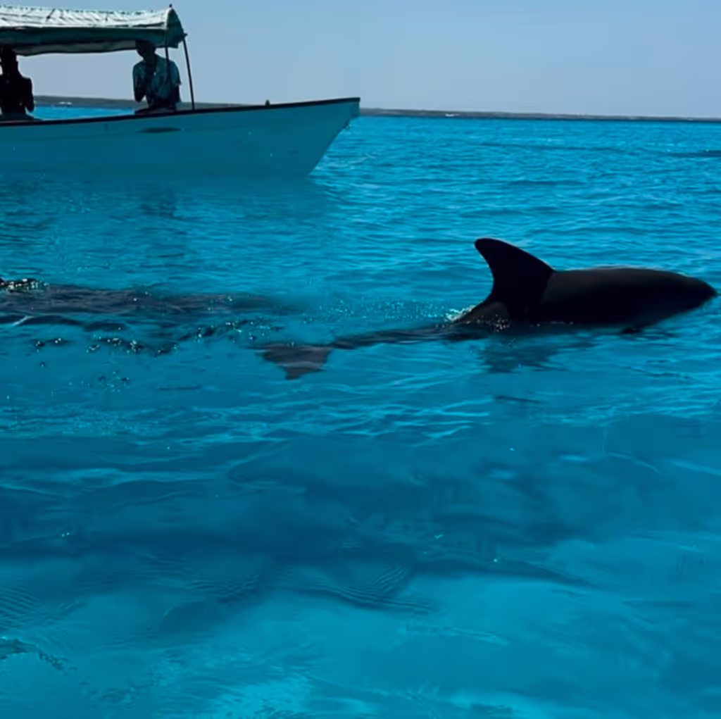 Zanzibar Private Tour - 