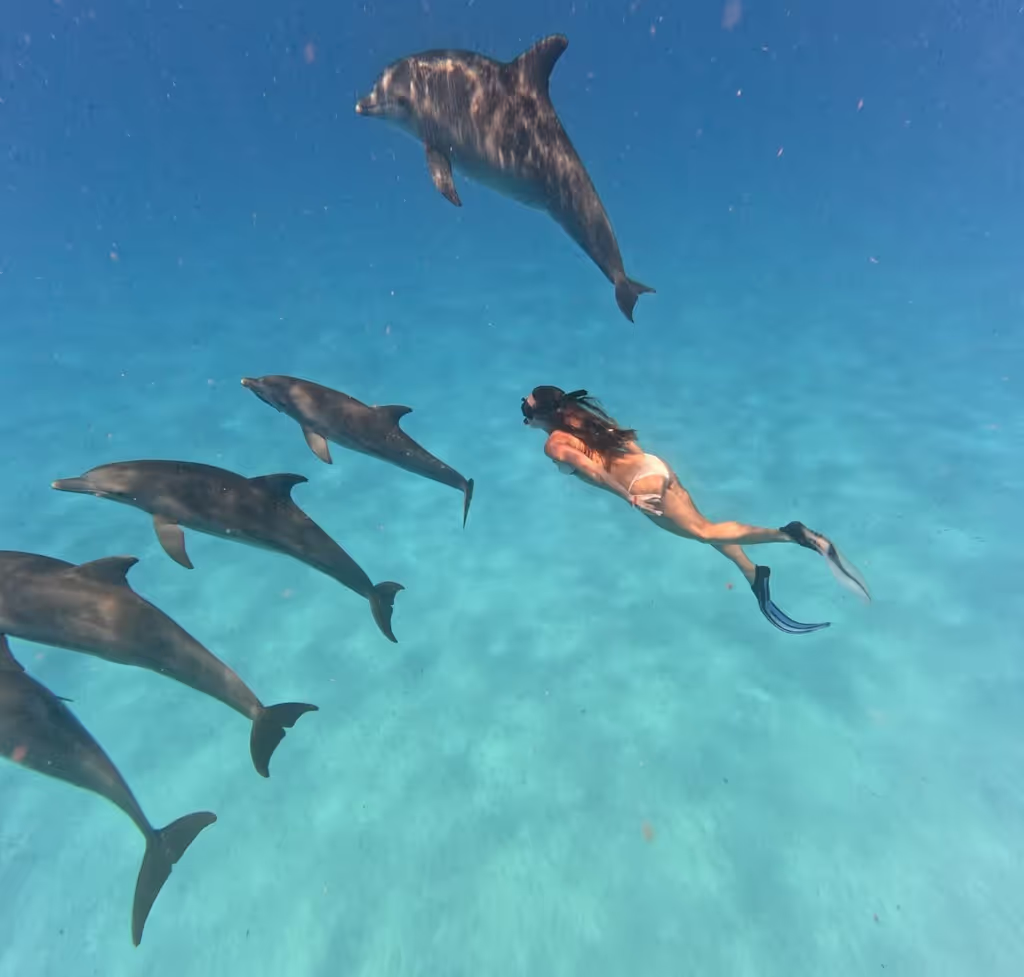 Zanzibar Private Tour - 