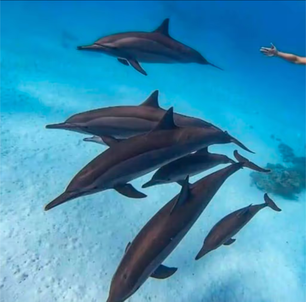 Zanzibar Private Tour - 