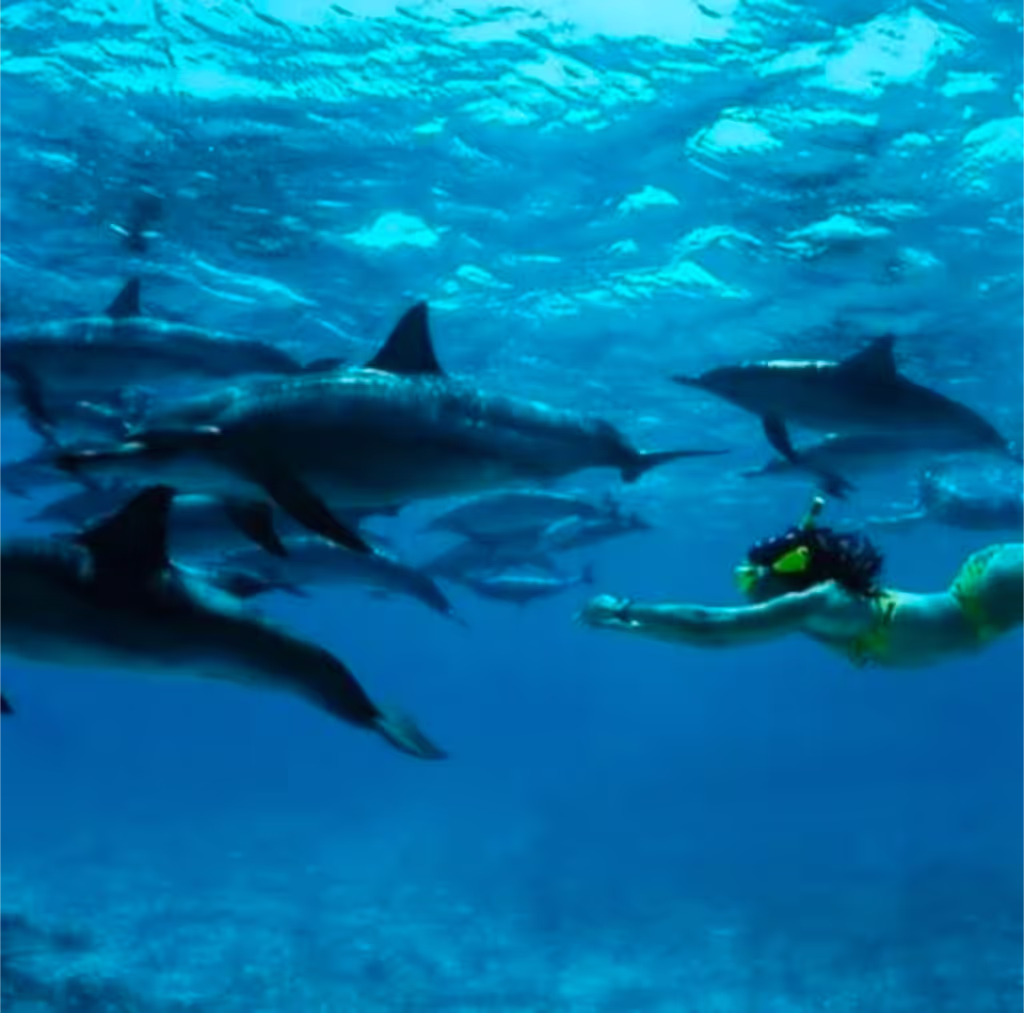 Zanzibar Private Tour - 