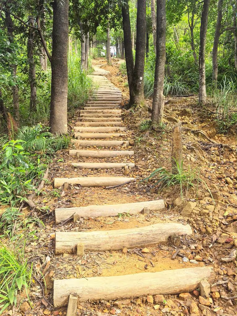 Shenzhen Private Tour - 