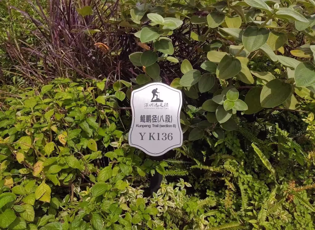Shenzhen Private Tour - 