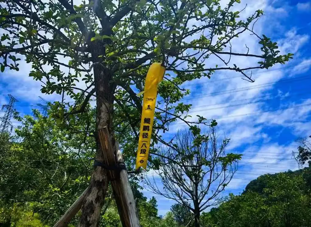 Shenzhen Private Tour - 
