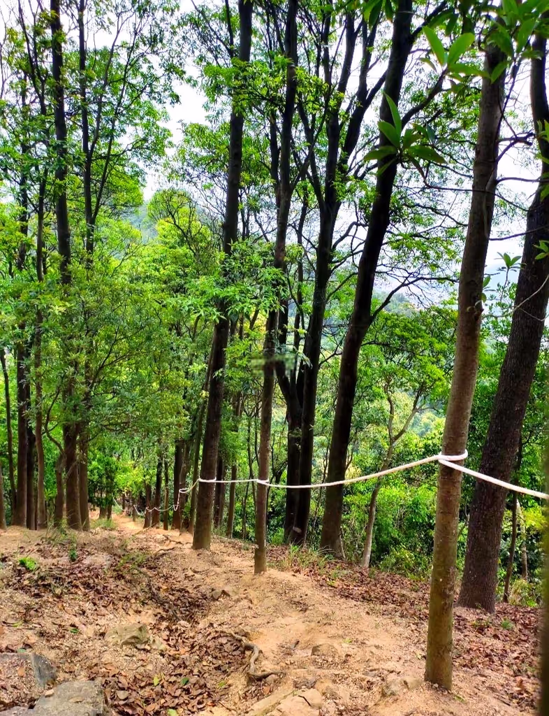 Shenzhen Private Tour - 