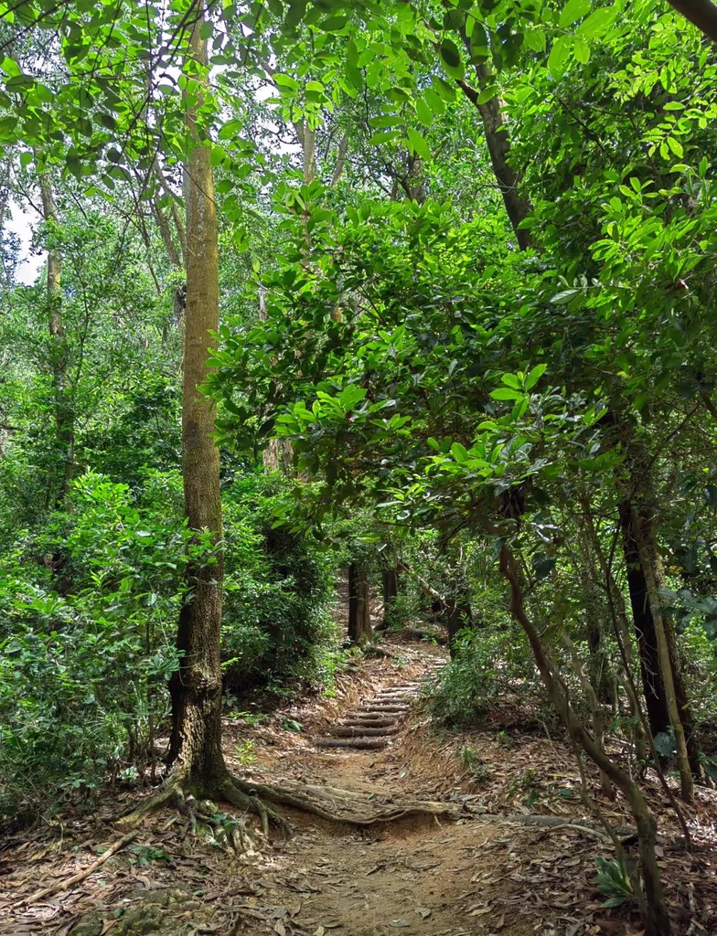 Shenzhen Private Tour - 