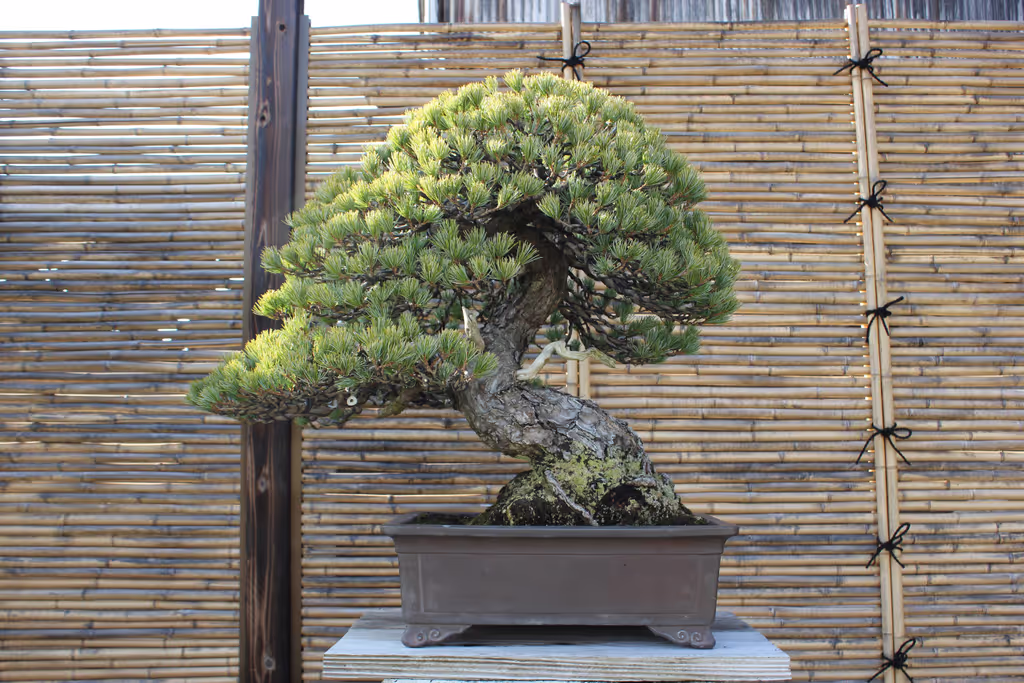 Kagawa Private Tour - 