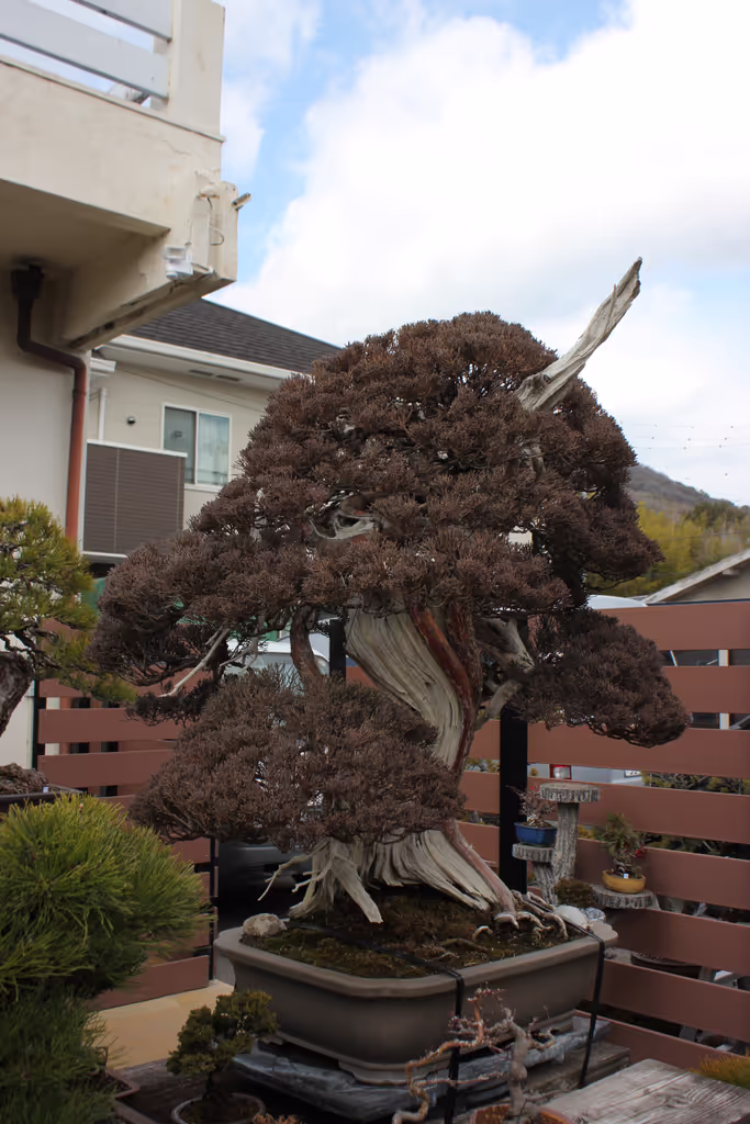 Kagawa Private Tour - 
