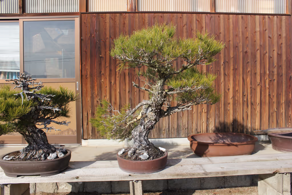 Kagawa Private Tour - 