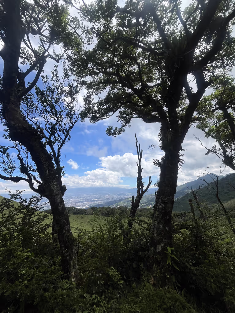 San Jose Private Tour - 