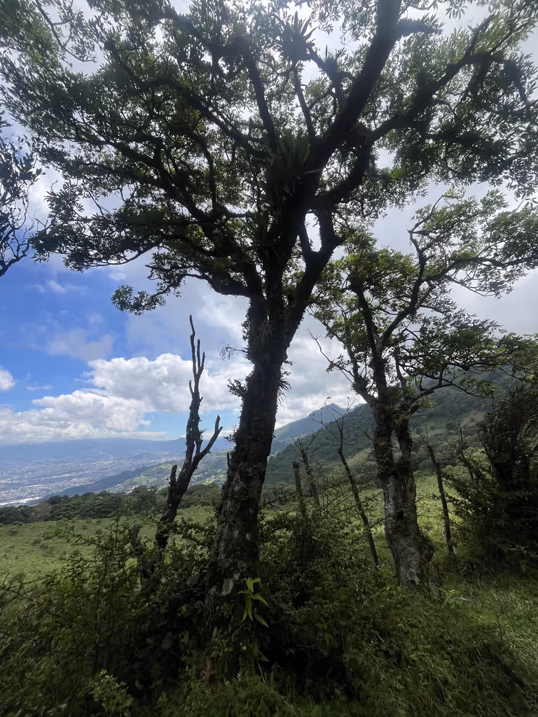 San Jose Private Tour - 