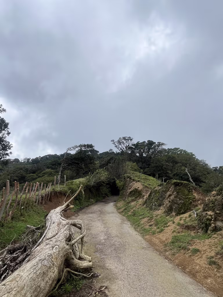 San Jose Private Tour - 