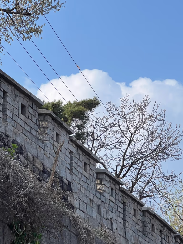 Seoul Private Tour - 