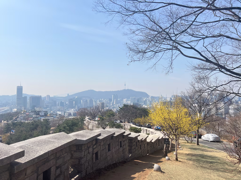 Seoul Private Tour - 