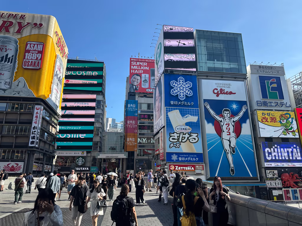 Osaka Private Tour - 