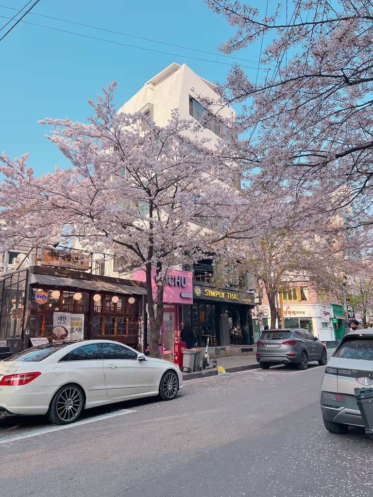 Seoul Private Tour - 