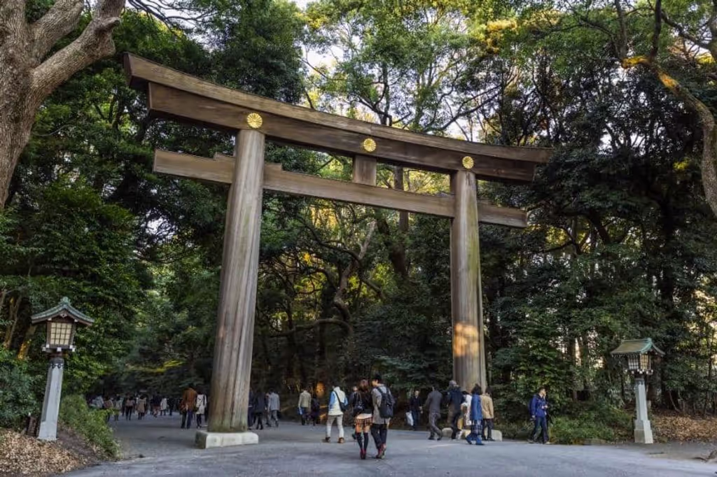 Tokyo Private Tour - 