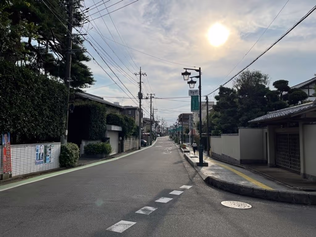 Saitama Private Tour - Street of Bonsai village