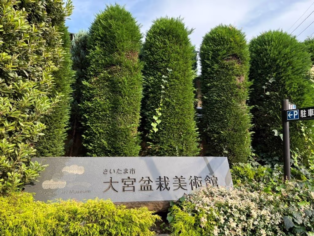 Saitama Private Tour - Bonsai Museum