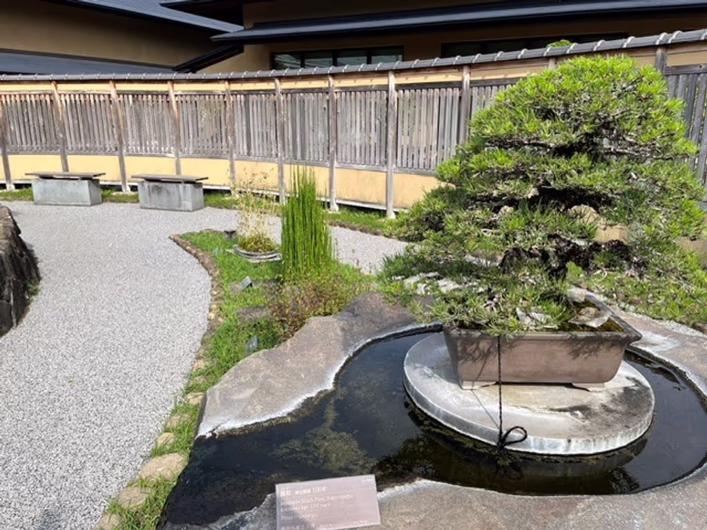 Saitama Private Tour - 