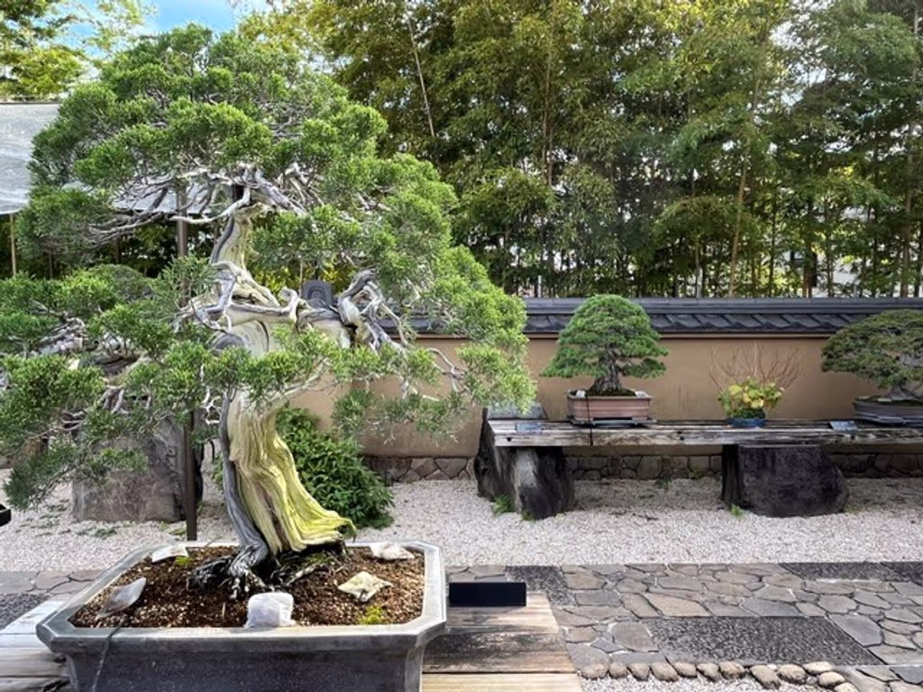 Saitama Private Tour - Jin, Shari