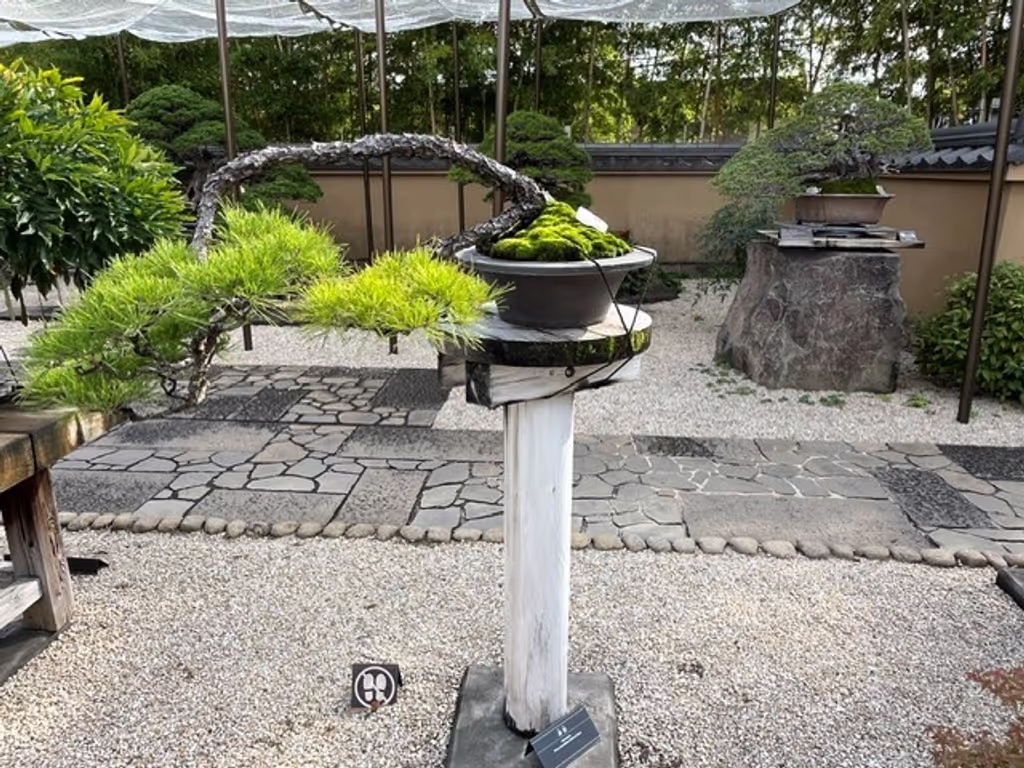 Saitama Private Tour - 
