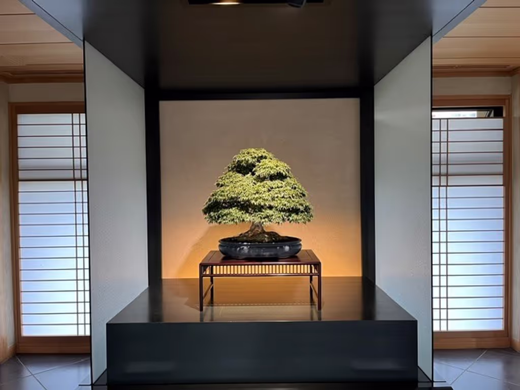 Saitama Private Tour - 