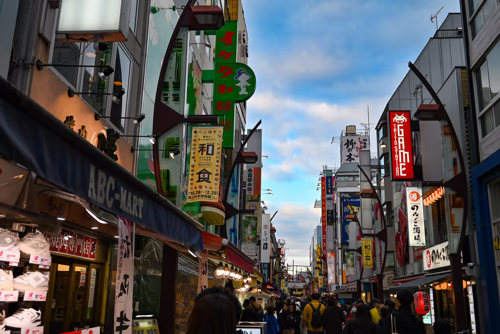 Kanagawa Private Tour - Ameya-Yokocho (Ameyoko Market Street)