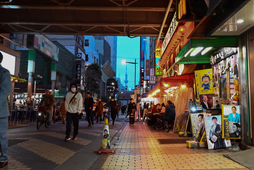 Kanagawa Private Tour - Ameya-Yokocho (Ameyoko Market Street)