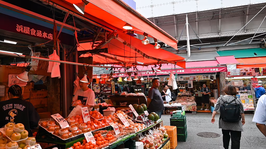 Kanagawa Private Tour - Ameya-Yokocho (Ameyoko Market Street)