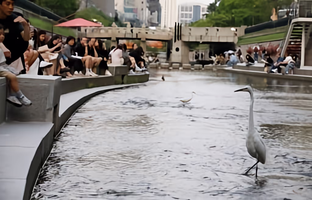 Seoul Private Tour - 