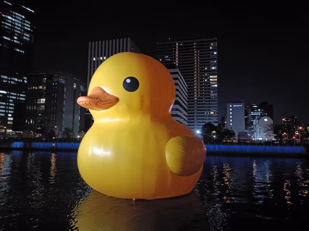 Osaka Private Tour - Night view
