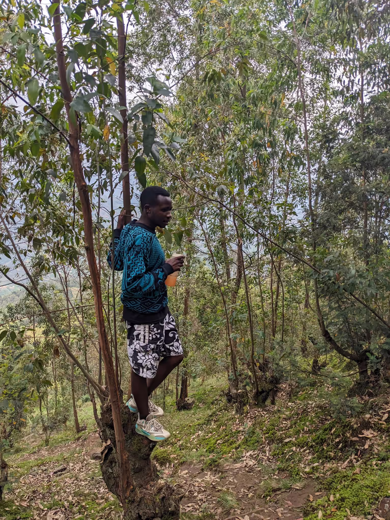 Ruhengeri Private Tour - Walking through lush forest trails on the way